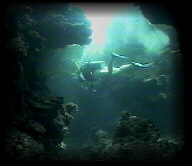 Sherrie Richter Below Water